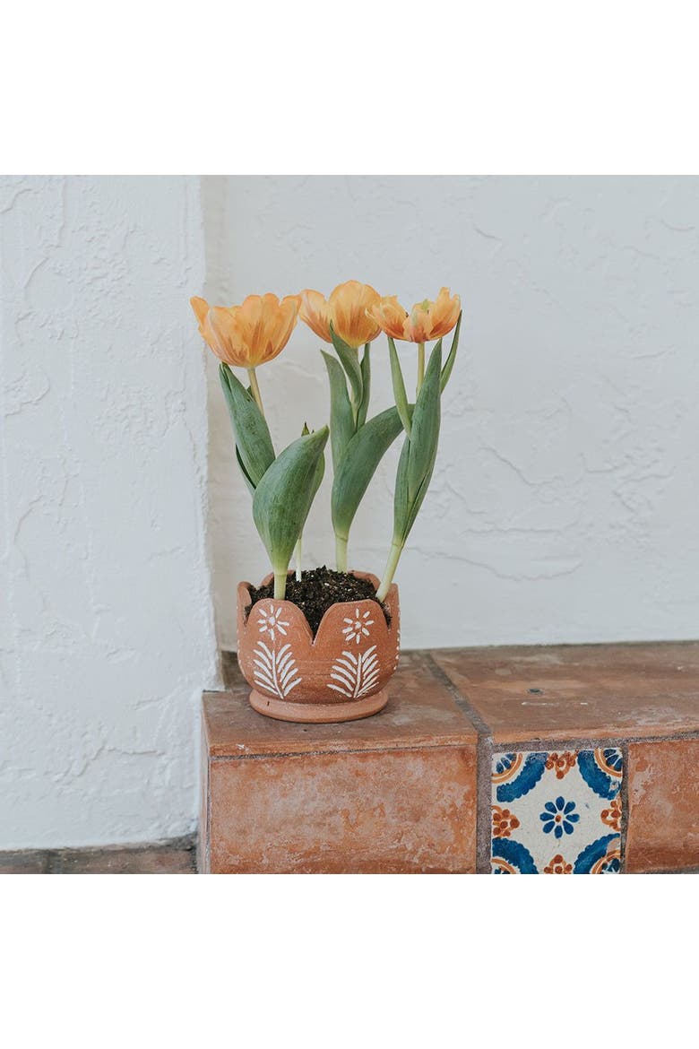 Vasanta Petals Planter, Alternate, color, Brown