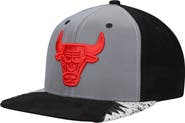 Mitchell & Ness Men's Mitchell & Ness Silver/Gray Chicago Bulls Day 5 Snapback Hat