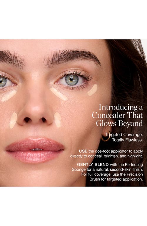 Ogee Complexion Perfecting Concealer In Brown