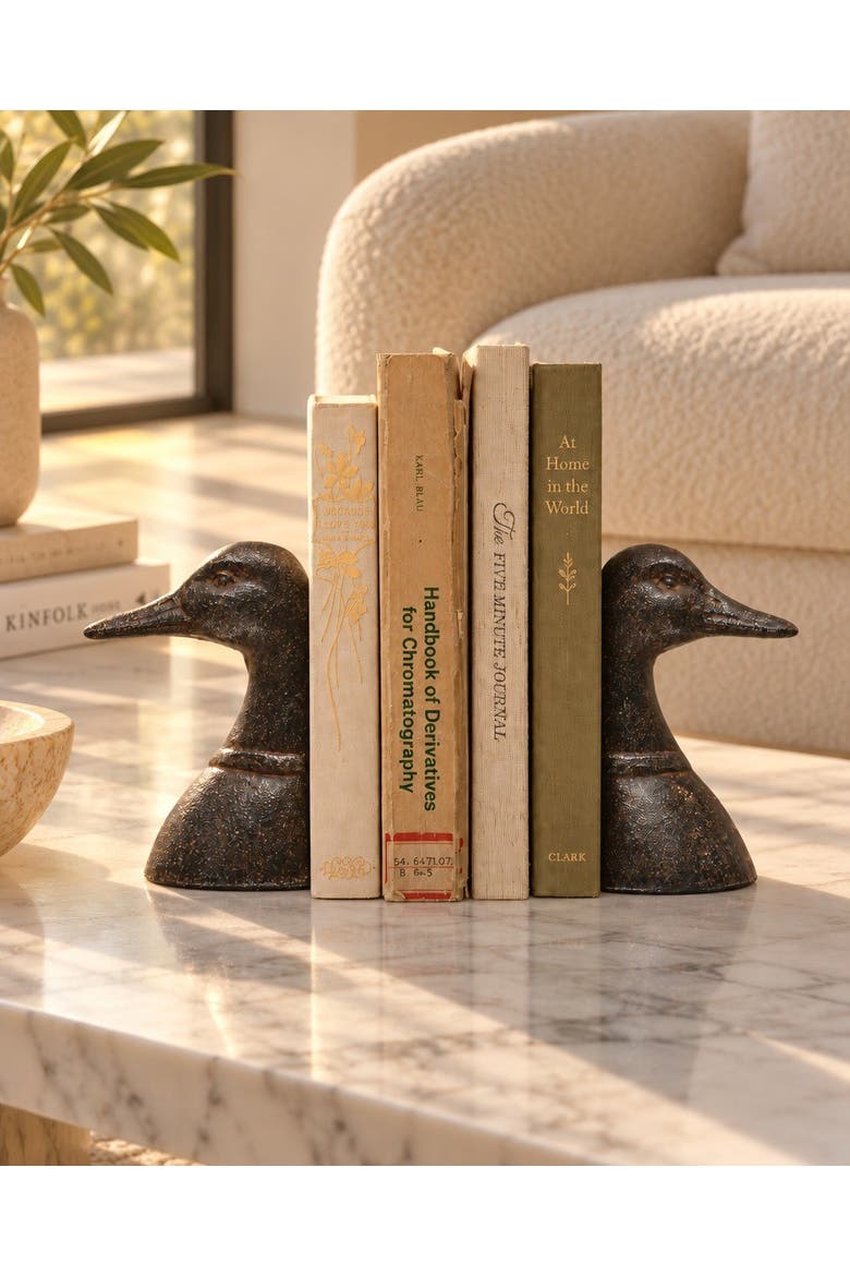 Decorative Distressed Cast Metal Duck Head Bookends, Black, Alternate, color, Brown