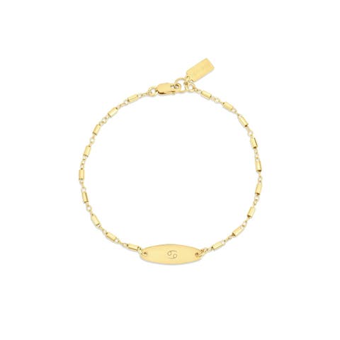 Zodiac Sign ID Bracelet