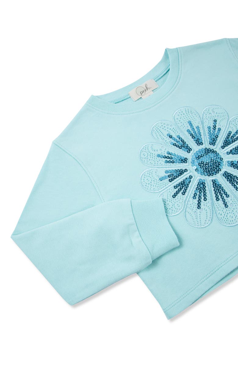 Peek Aren't You Curious Kids' Lace Flower Cotton Pullover & Skirt Set, Alternate, color, Blue