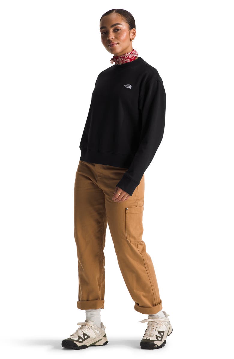 The North Face Evolution Fleece Sweatshirt, Alternate, color, 