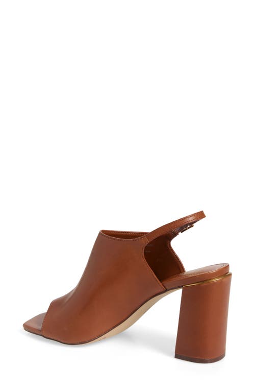 Vince Camuto Haliza Slingback Sandal In Brown