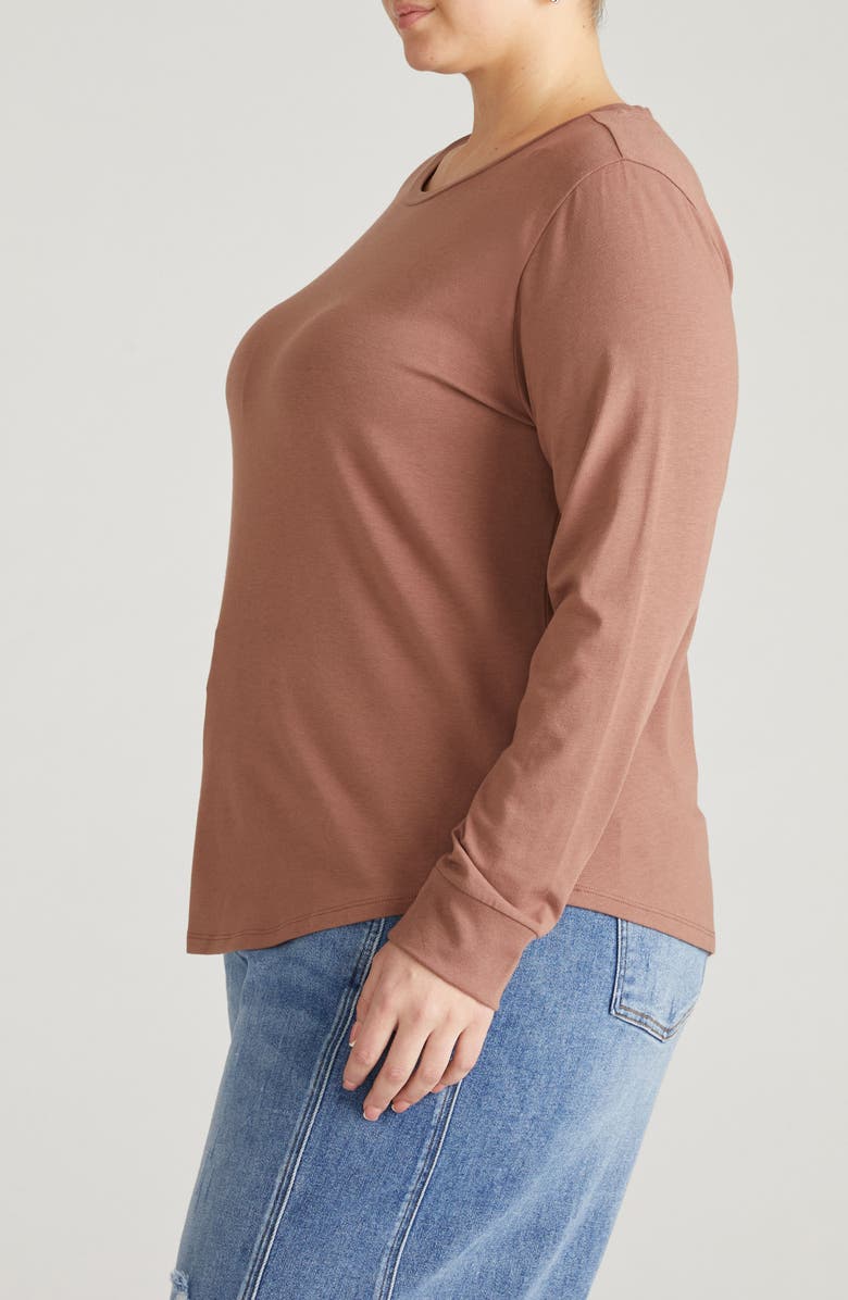 Universal Standard T Rex Long Sleeve Tee, Alternate, color, Allspice Brown