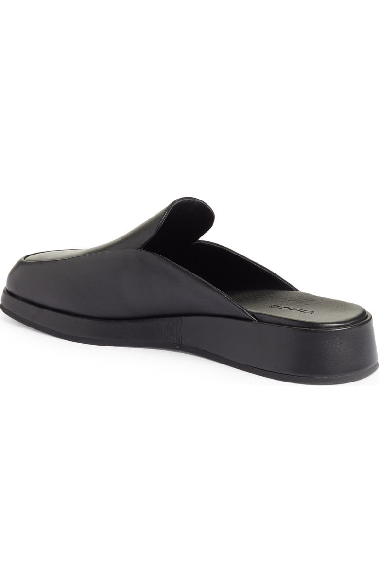 Vince Raquel Mule, Alternate, color,