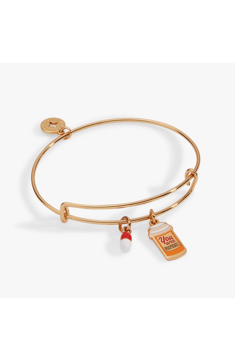 Alex and Ani 'You Are Indispensable' Pill Bottle Bangle, Main, color, Gold
