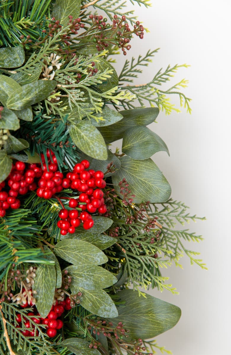 Balsam Hill Winter Meadow 10-Foot LED Light Garland, Alternate, color,