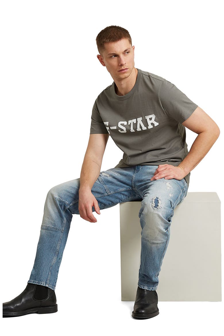 Logo Organic Cotton Graphic T-Shirt, Alternate, color, GREY