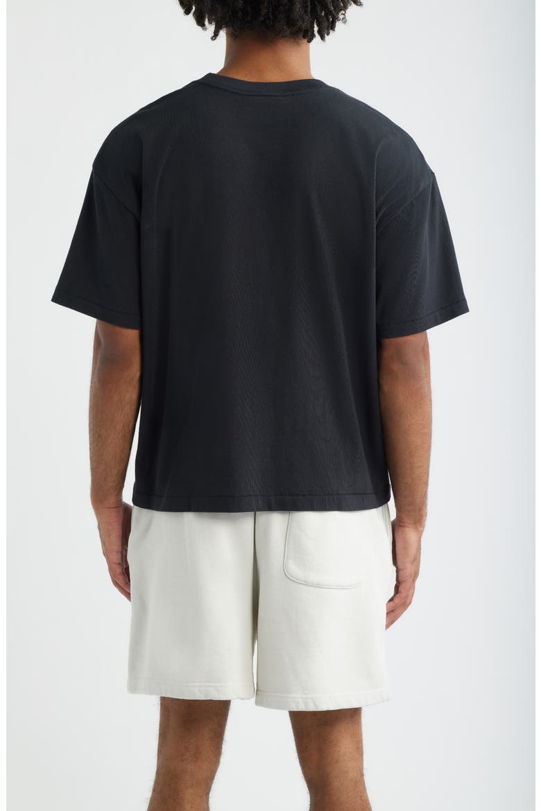 Crop Hill Tee, Alternate, color, VINTAGE BLACK