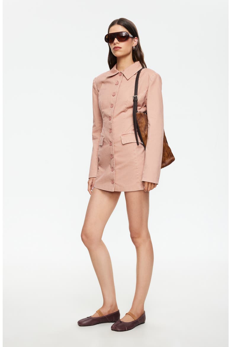 Cheri Long Sleeve Minidress, Alternate, color, ROSE