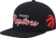 Mitchell & Ness Men's Mitchell & Ness Black Toronto Raptors Hardwood Classics Script 2.0 Snapback Hat