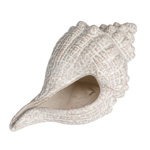 Stoneware Conch Shell Accent Décor