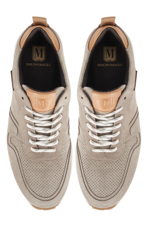 Bruno Magli Capri Sneaker In Grey Suede