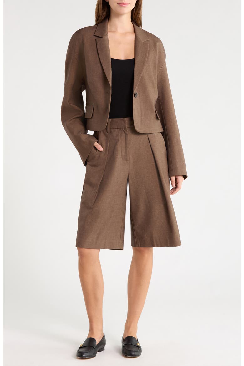 Cropped Blazer, Alternate, color, DARK BROWN