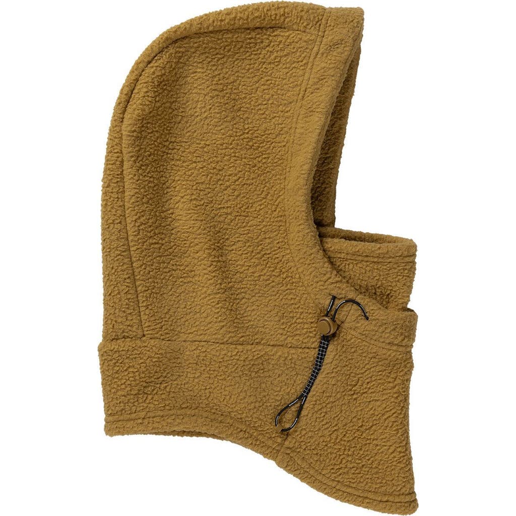 Backcountry Wander Pile-fleece Hood In Green