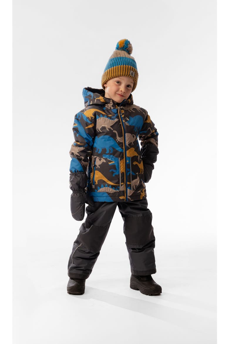 Dinosaur Chill Lightweight Jacket & Foot Strap Pants Two Piece Snowsuit, Alternate, color, Grey and Blue Dinosaur Print