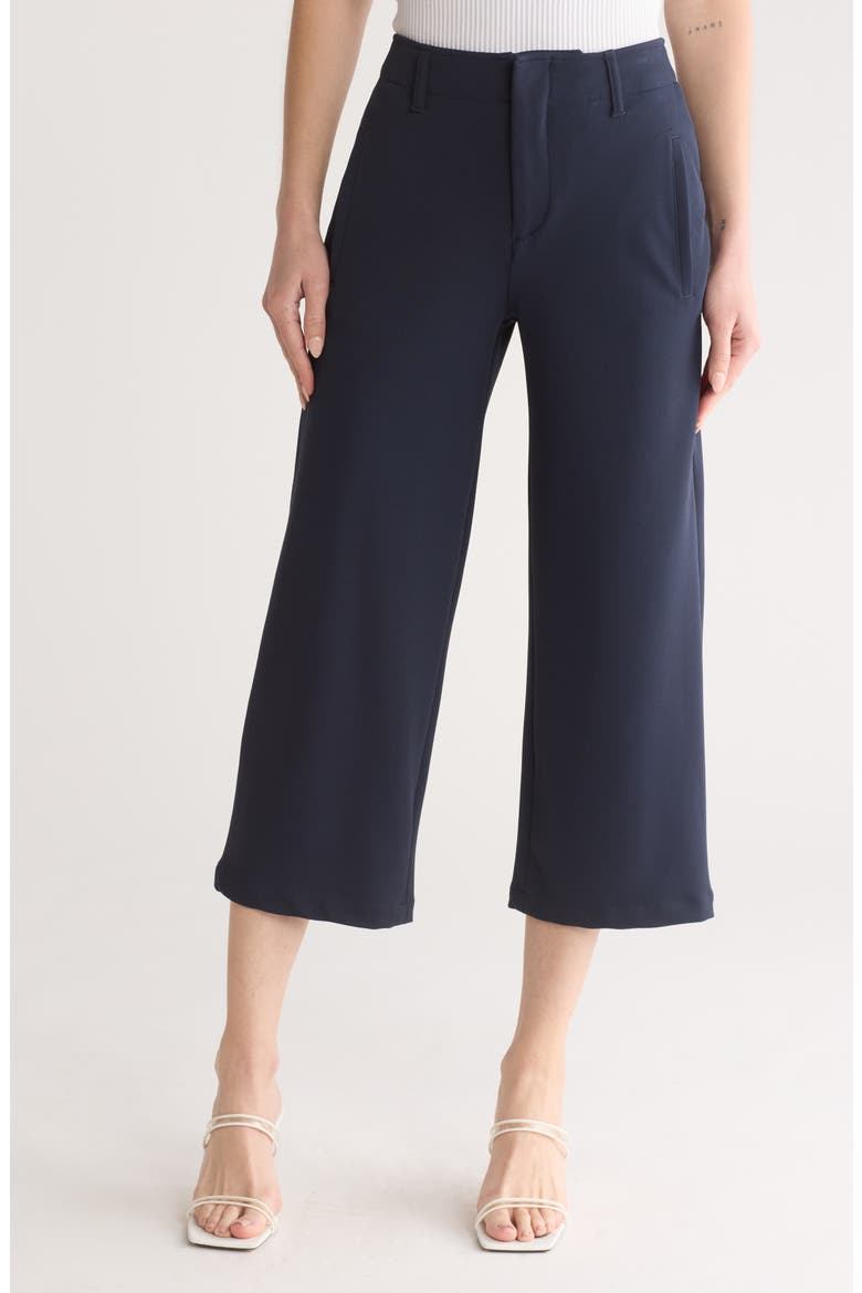Dylan Cropped Pants, Main, color, NAVY