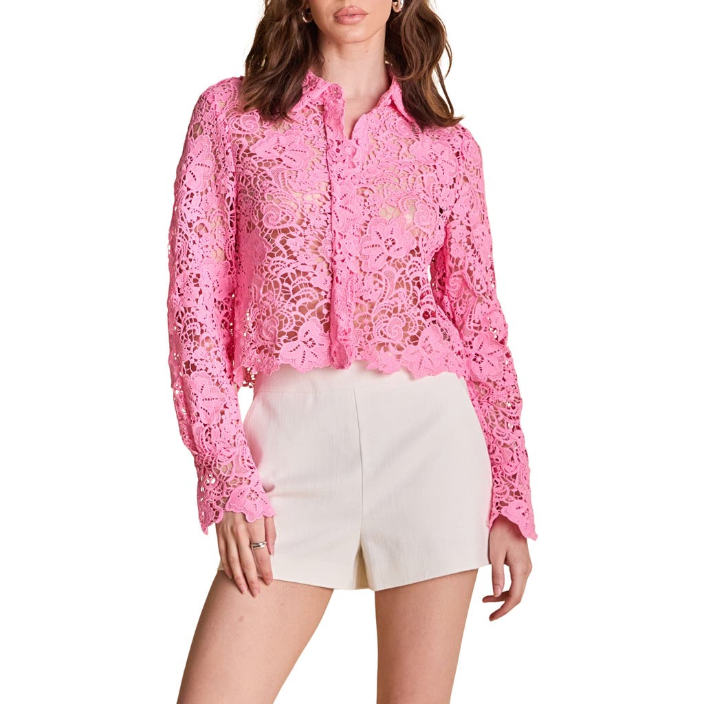 Shop Endless Rose Lace Crop Shirt