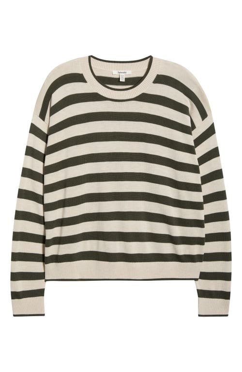 Splendid Georgie Stripe Oversize Sweater In Neutral