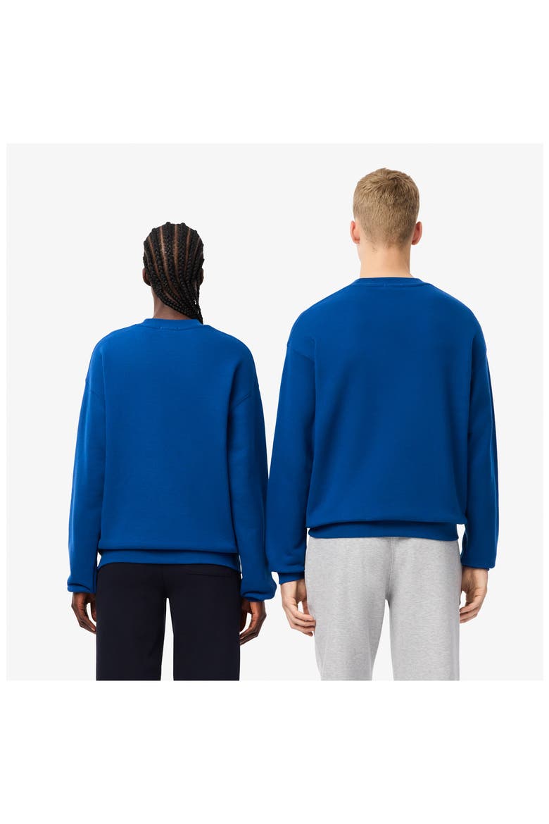 Loose Fit Cotton French Terry Sweatshirt, Alternate, color, HBM GLOBE