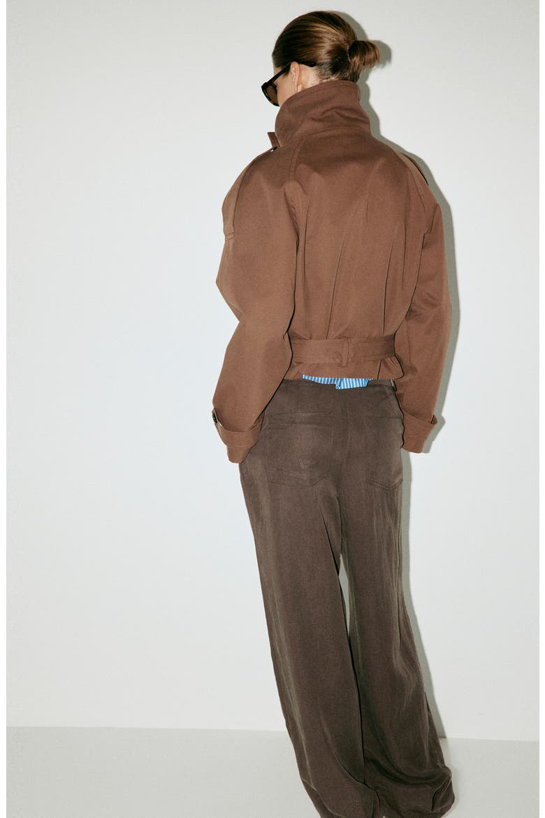 Double Breasted Crop Cotton Blend Trench Coat, Alternate, color, BROWN