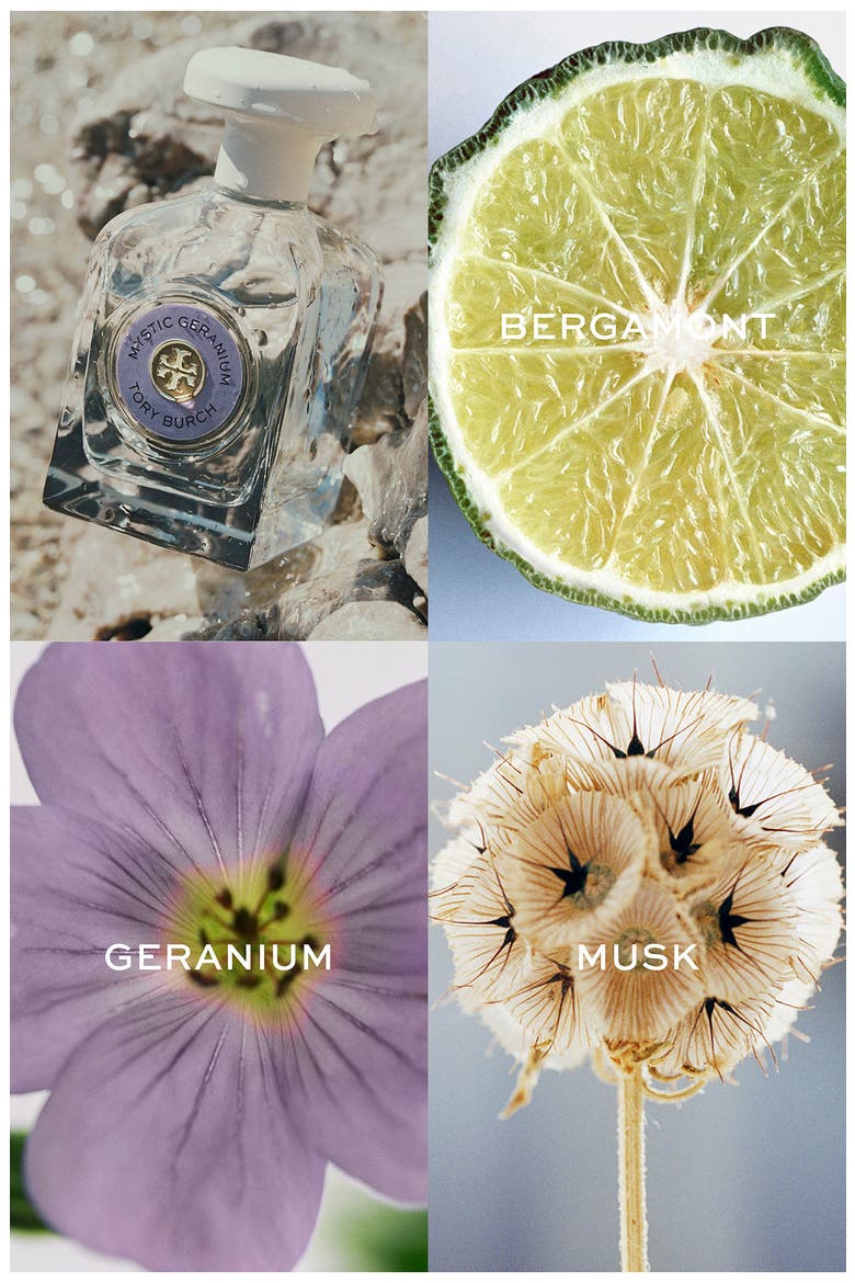 Essence of Dreams Mystic Geranium Eau de Parfum (Women) | Nordstrom