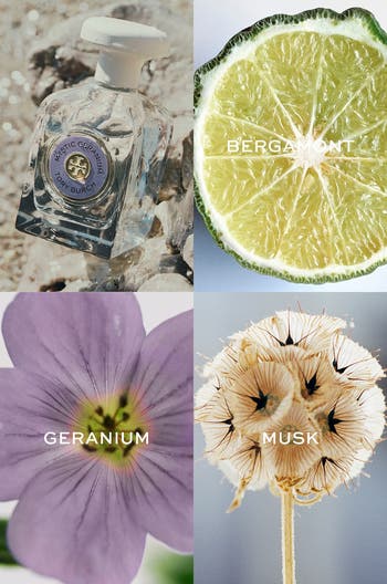 Tory Burch Essence of Dreams Mystic Geranium Eau de Parfum | Nordstrom