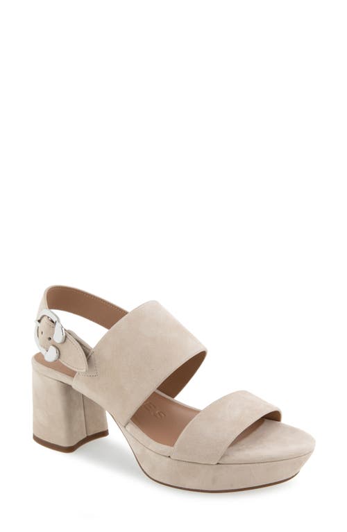 AEROSOLES AEROSOLES CAMERA PLATFORM SANDAL 