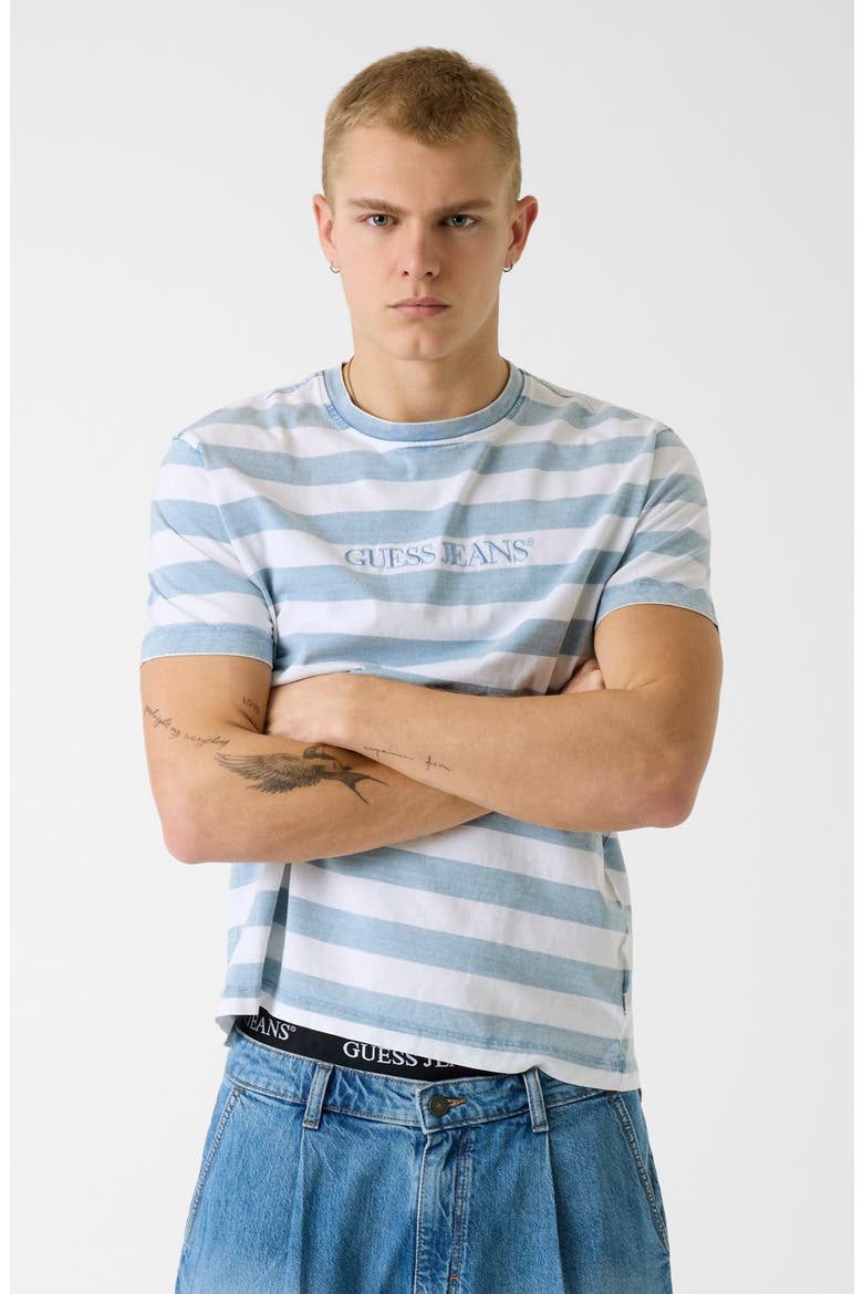 Yarn Dyed Stripe Cotton T-Shirt, Alternate, color, BLUE STRIPE
