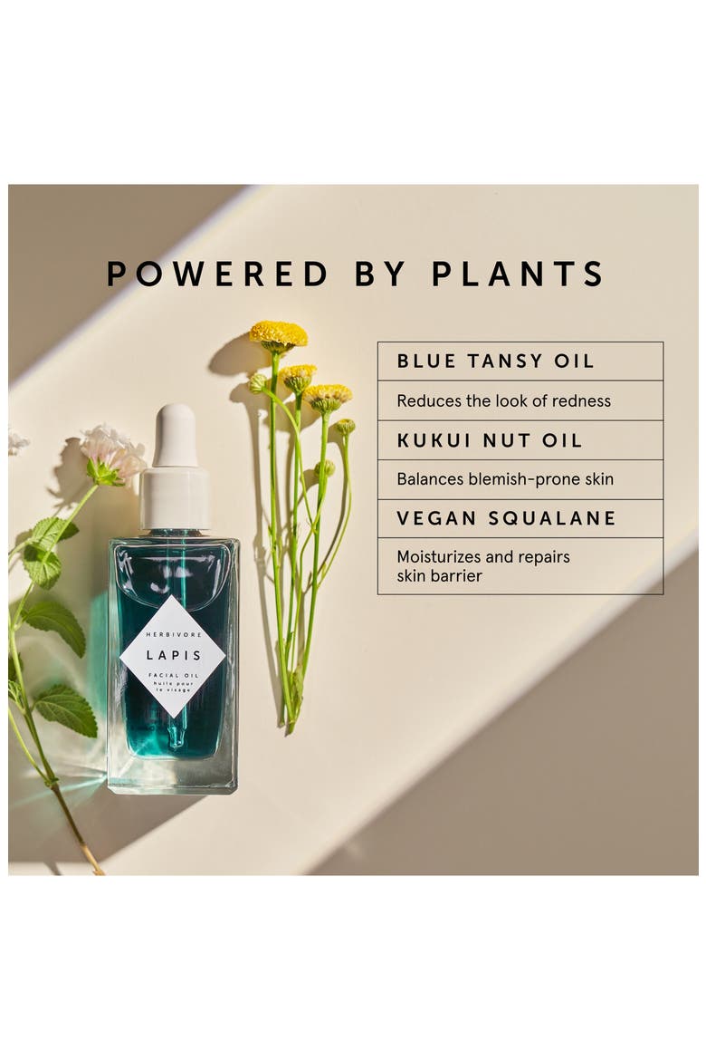 Lapis Blue Tansy Facial Oil for Oily Skin, Alternate, color, NO COLOR