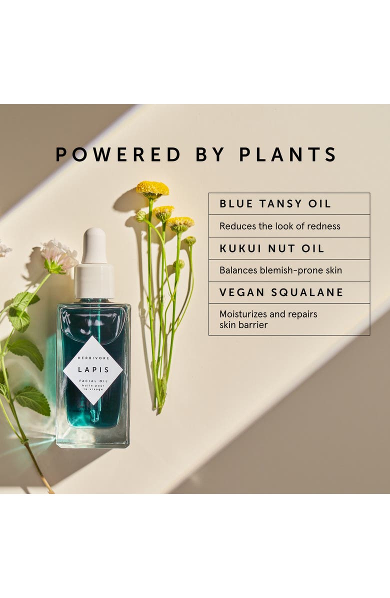 Herbivore Botanicals Lapis Blue Tansy Facial Oil for Oily Skin, Alternate, color,