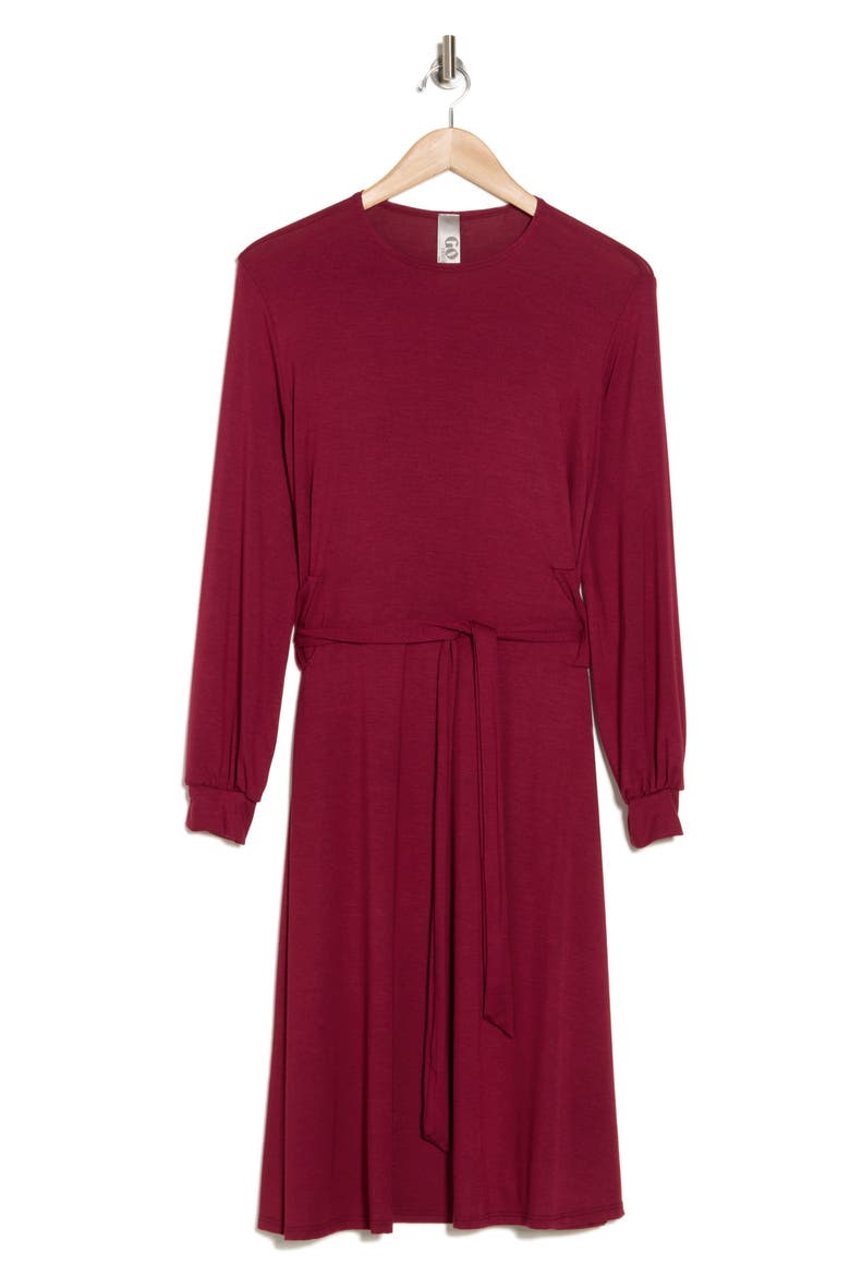 Long Sleeve A-Line Dress, Alternate, color, BURGUNDY