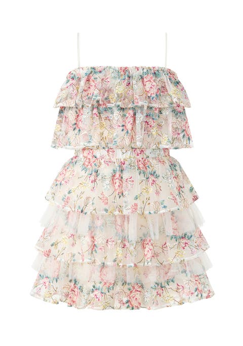 Reign Frill Embroidered Mini Dress (Toddler, Little Kid & Big Kid)