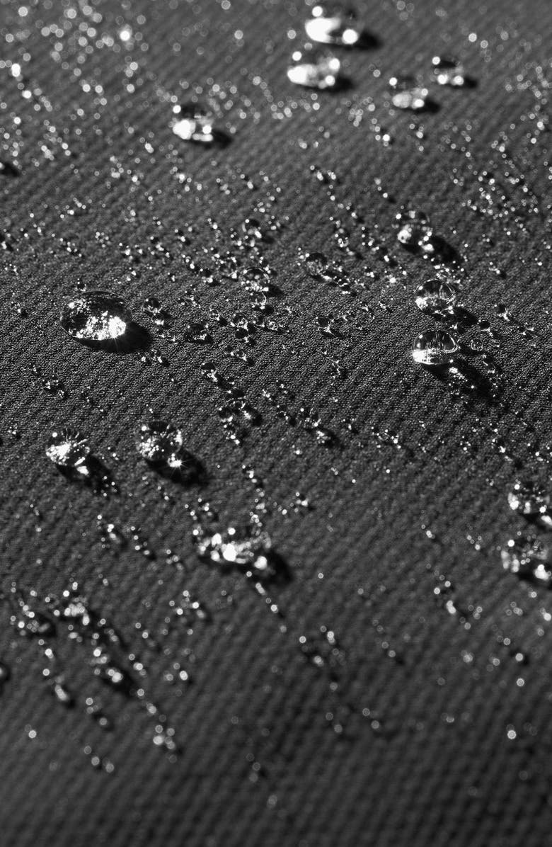 The North Face Tekno Ridge Hoodie, Alternate, color,