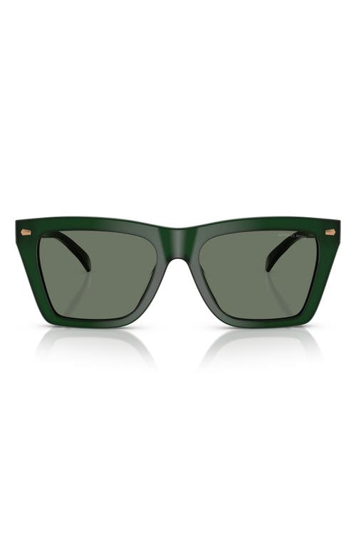 Michael Kors 56mm Square Sunglasses in Olive 