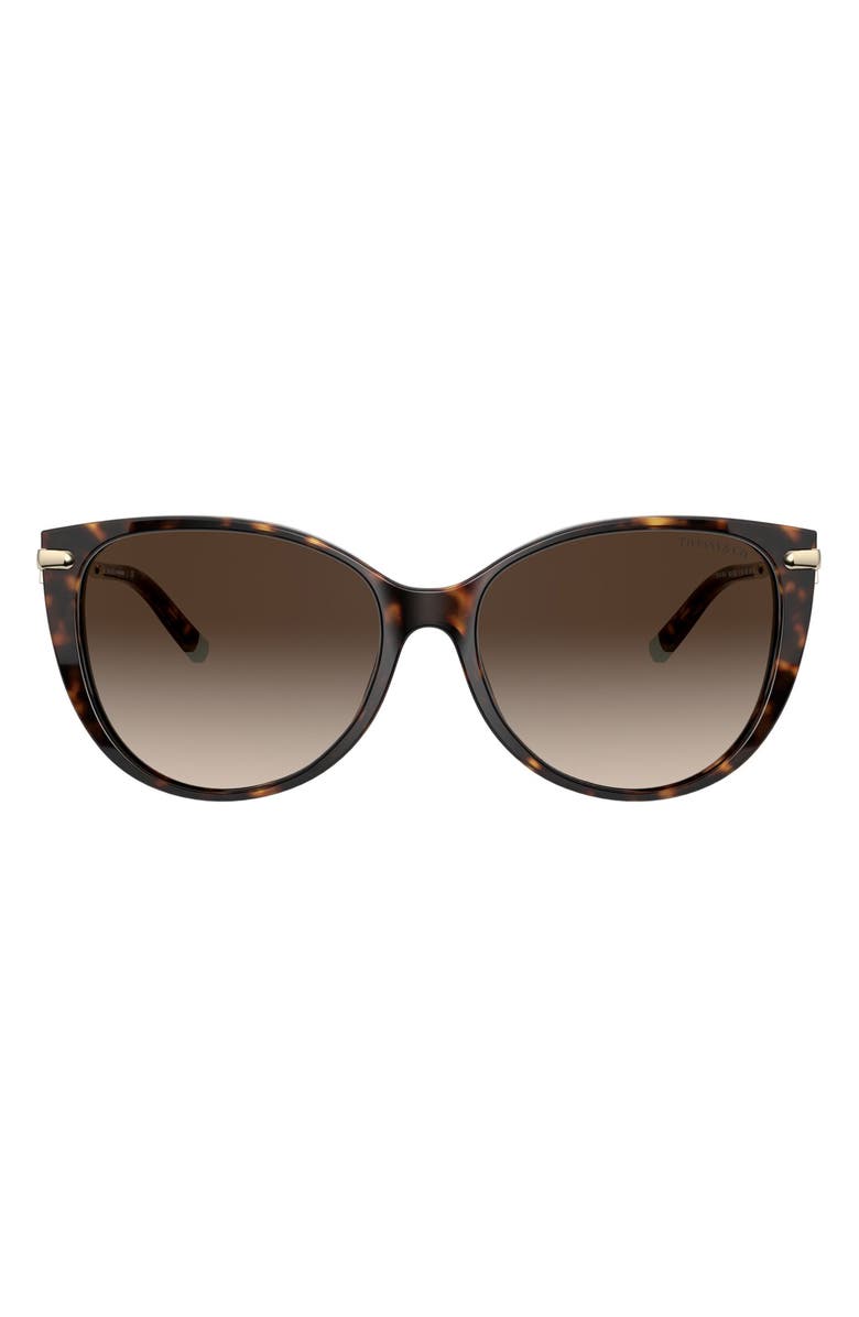Tiffany & Co. 57mm Gradient Cat Eye Sunglasses, Main, color, Havana/ Brown Gradient