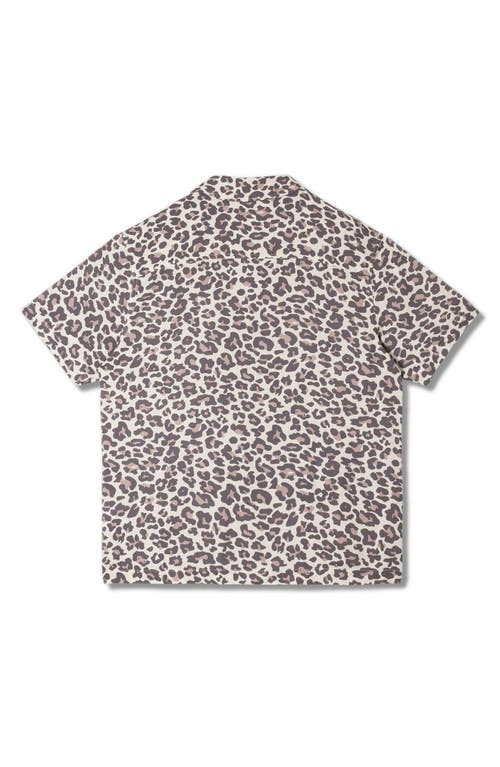 Stan Ray Tour Leopard Print Camp Shirt In Leopard Camo