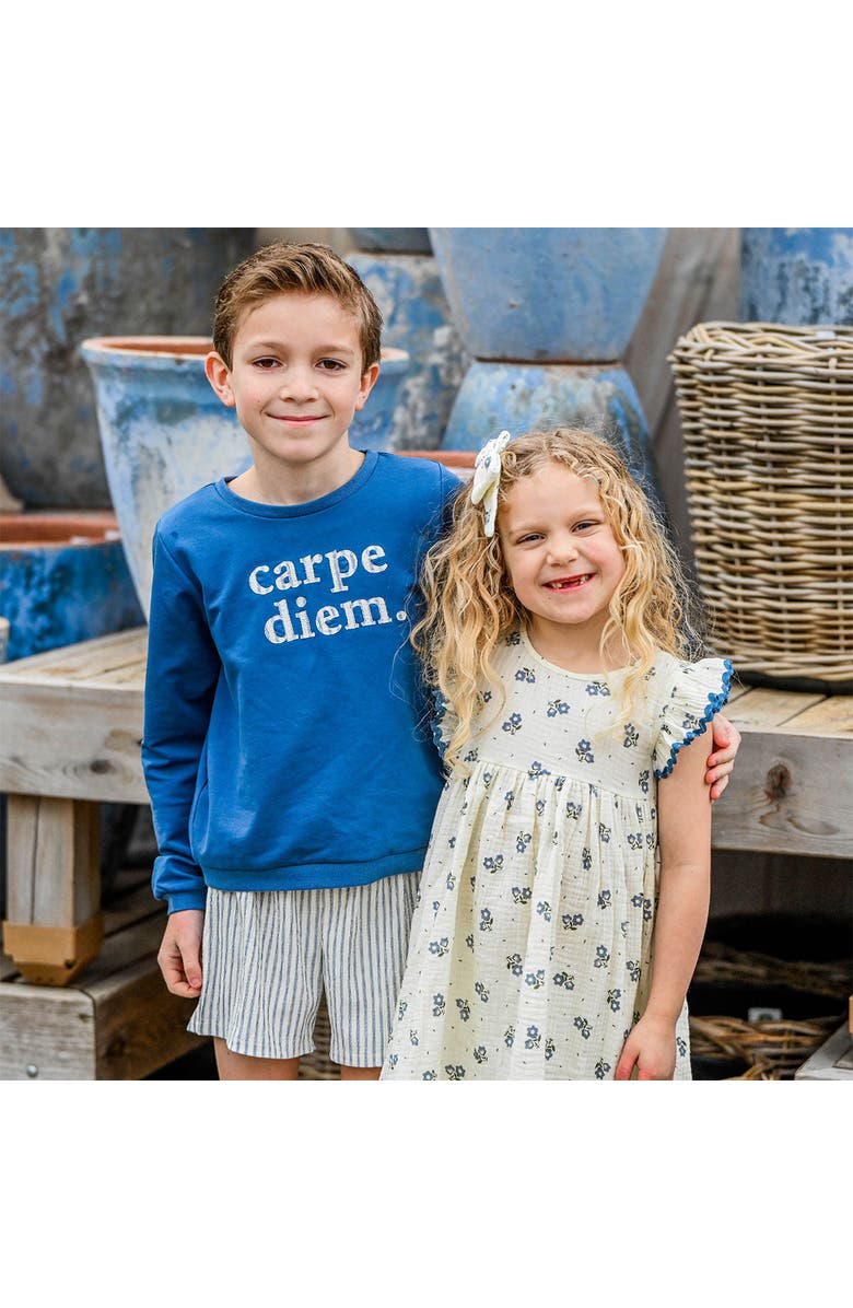 oh baby! Carpe Diem Brooklyn Boxy Sweatshirt, Alternate, color, French Blue