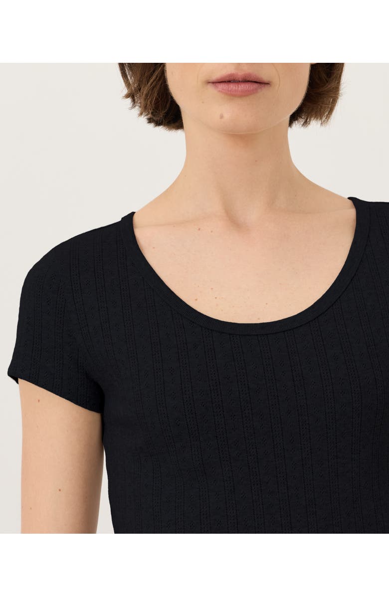 Pact Organic Cotton Pointelle Scoop Neck Tee, Alternate, color, Black