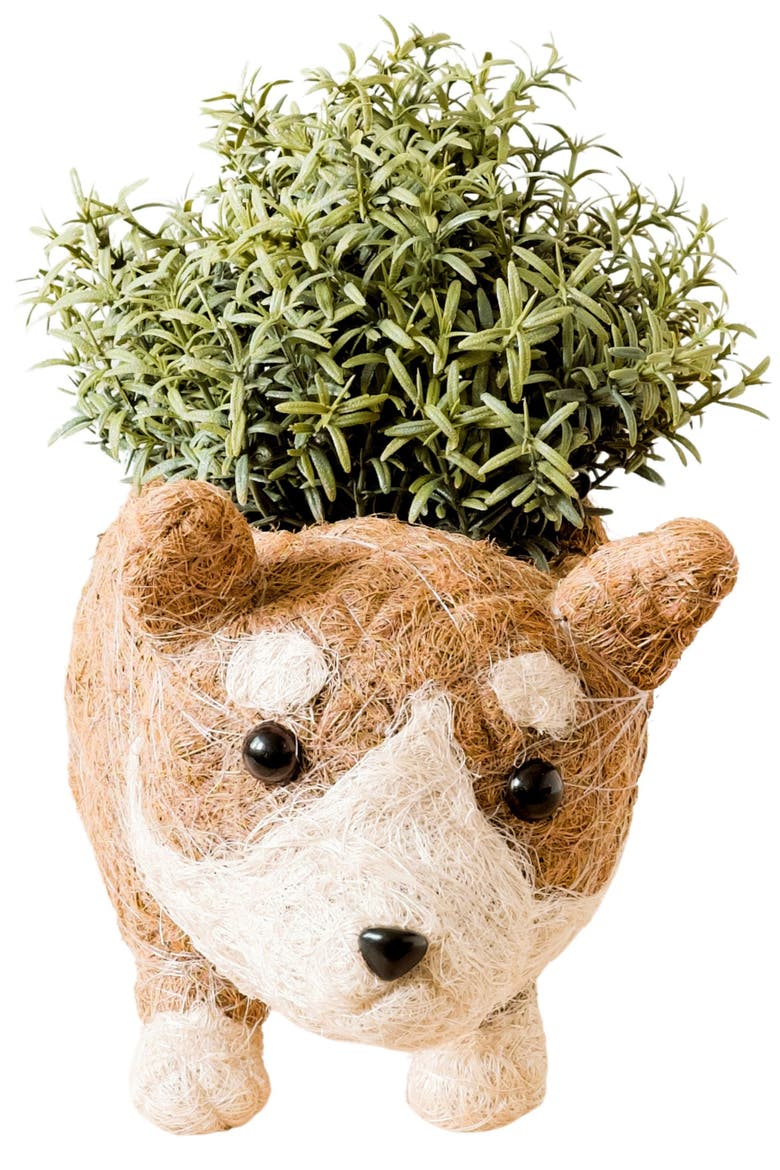 Corgi Handwoven Planter, Alternate, color, BROWN / WHITE