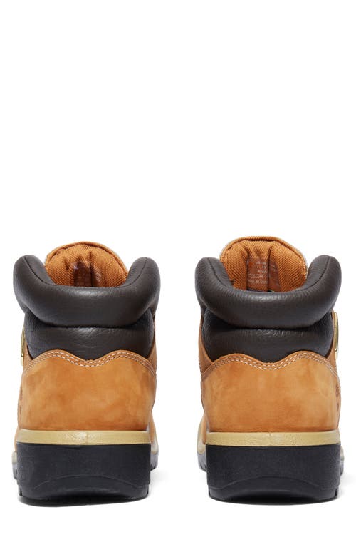 Timberland Field Waterproof Boot In Wheat