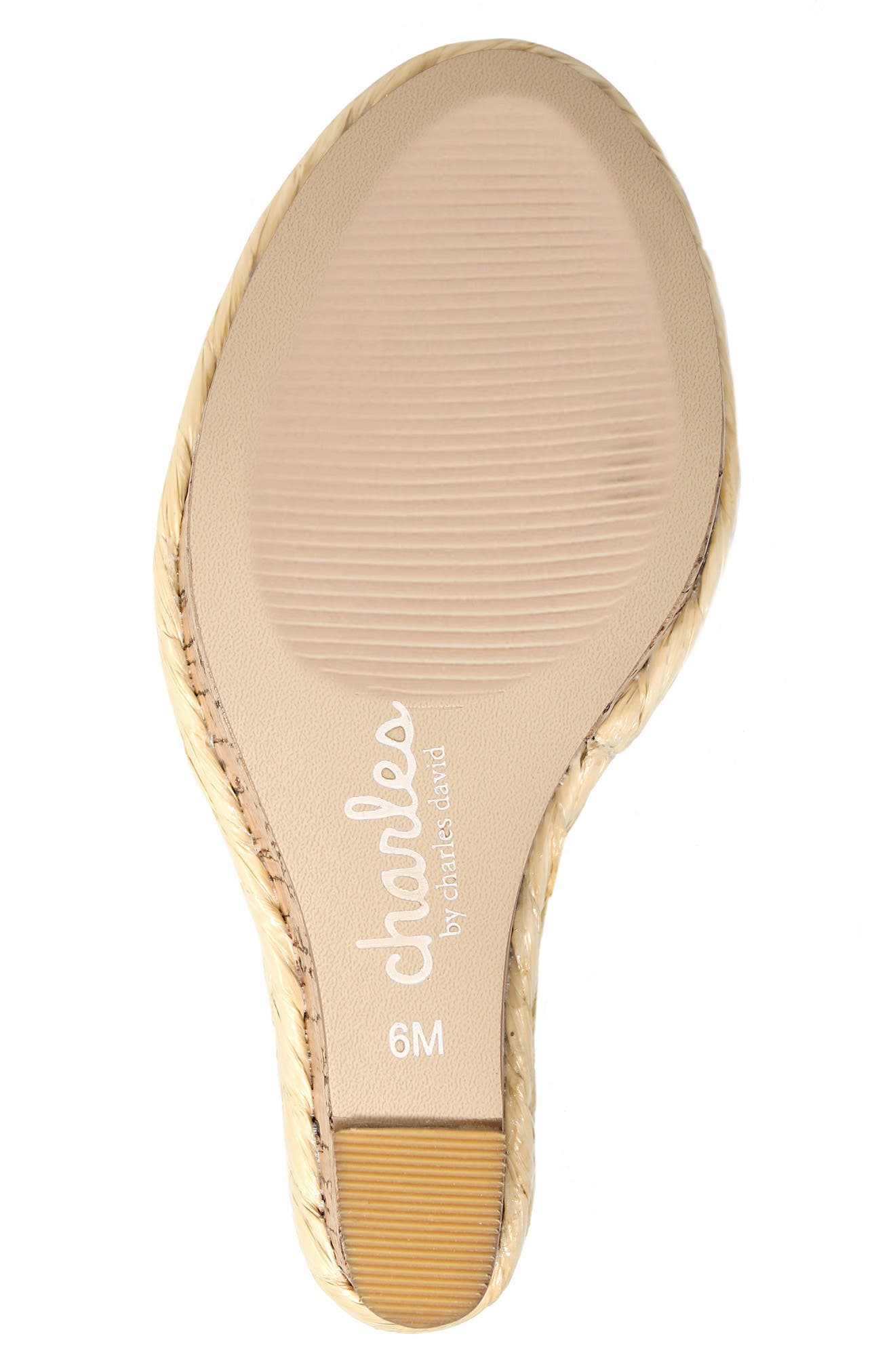 Charles by Charles David Assemble Platform Wedge Sandal, Alternate, color, 