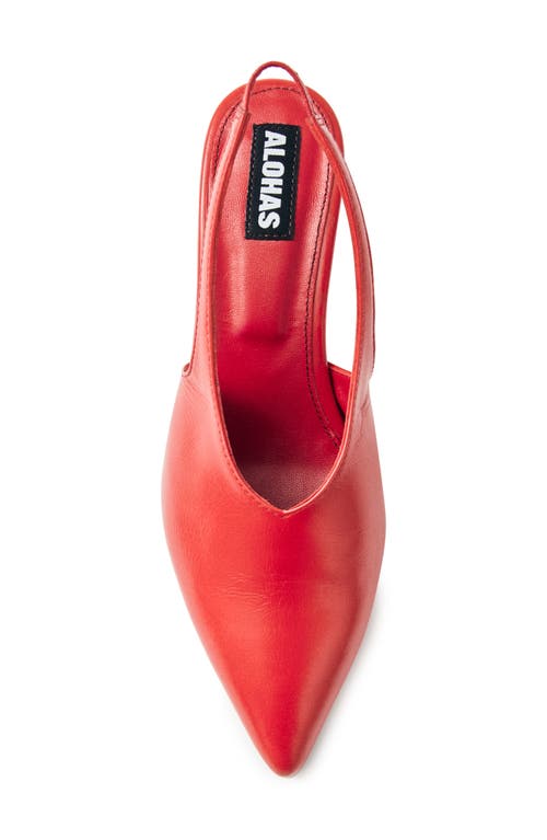 Alohas Eros Slingback Pointed Toe Kitten Heel Pump