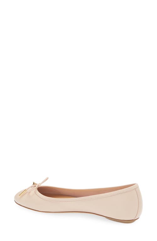 Chloé Woman Ballet Flats Blush Size 8 Leather In Pink