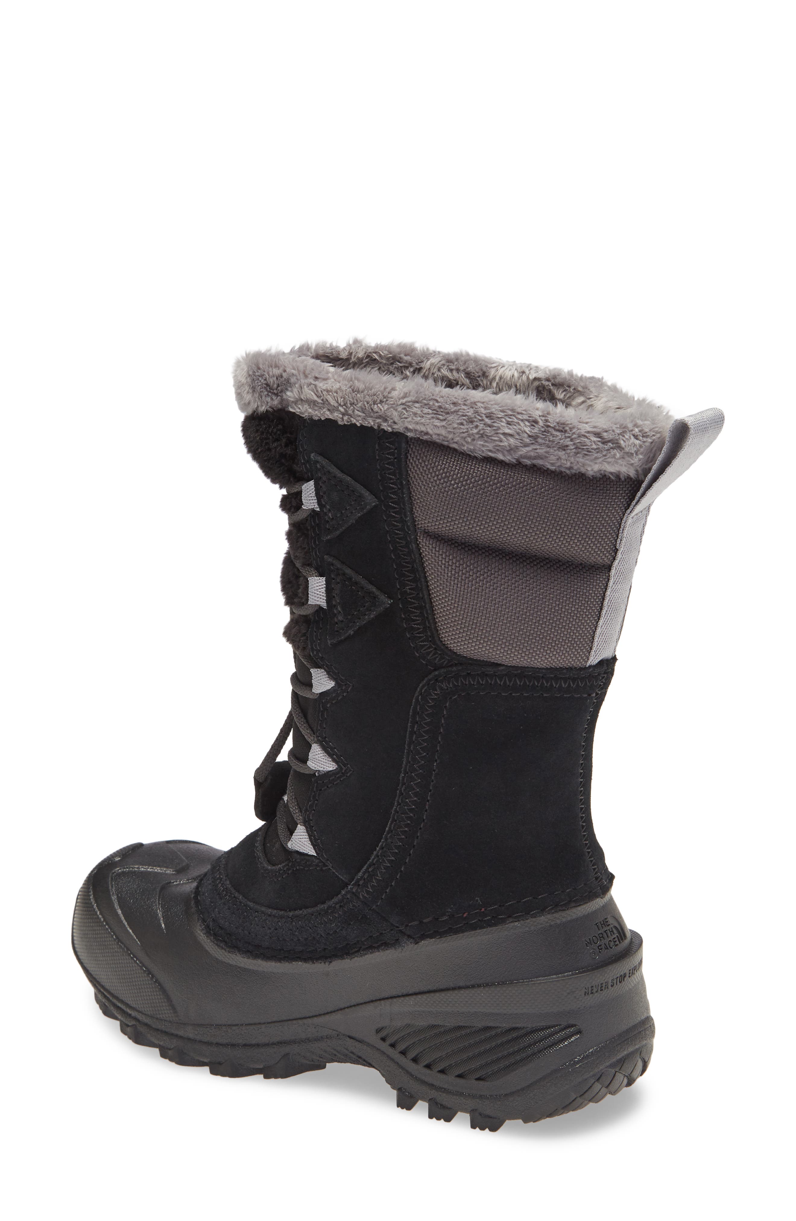The North Face Shellista IV Waterproof Insulated Boot, Alternate, color, 