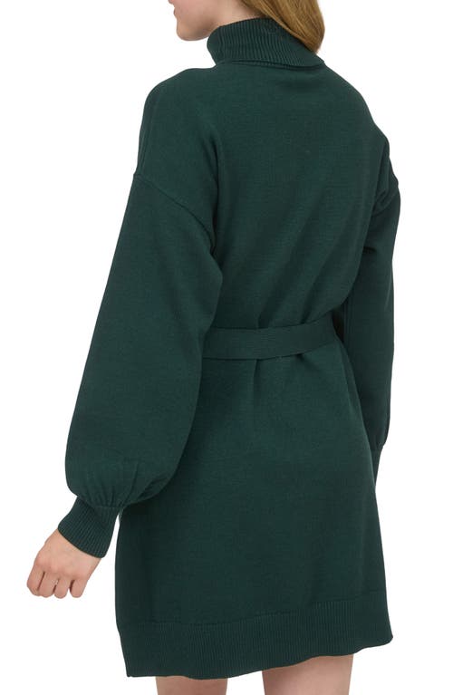 August Sky Long Sleeve Turtleneck Sweater Minidress In Green