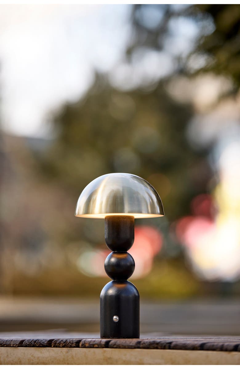 ADESSO LIGHTING Connie LED Cordless Table Lamp, Alternate, color, Black