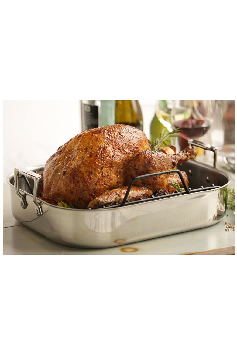 Large Stainless Steel Roasting Pan & Roaster Rack, Alternate, color, STAINLESS