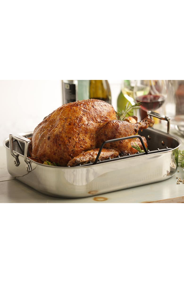 All-Clad Large Stainless Steel Roasting Pan & Roaster Rack, Alternate, color, Stainless